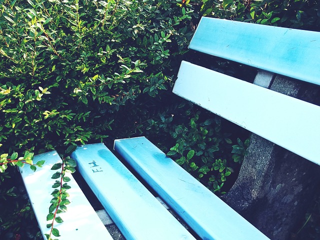 其竞争强度 其竞争强度