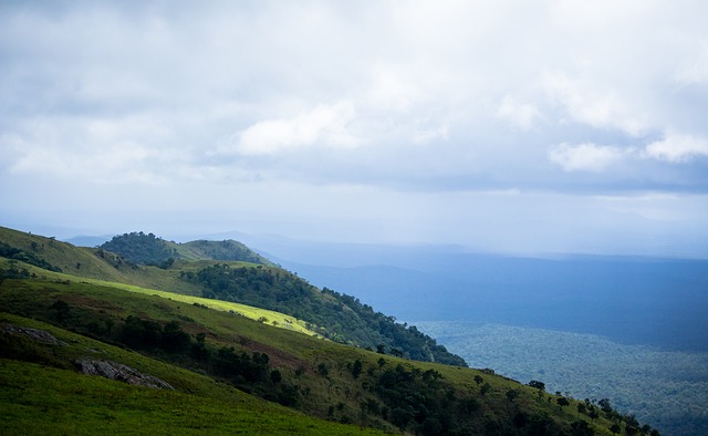 本次赛事将 本次赛事将