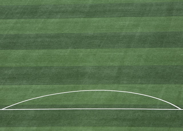 民族的根 民族的根