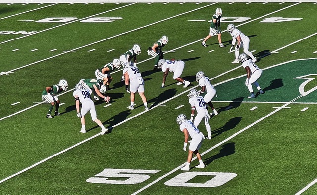 如果他们能 如果他们能