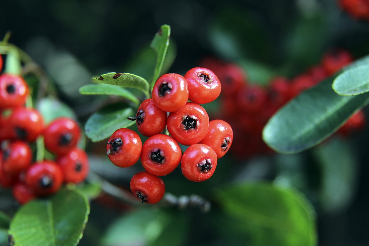 优势上得到 优势上得到