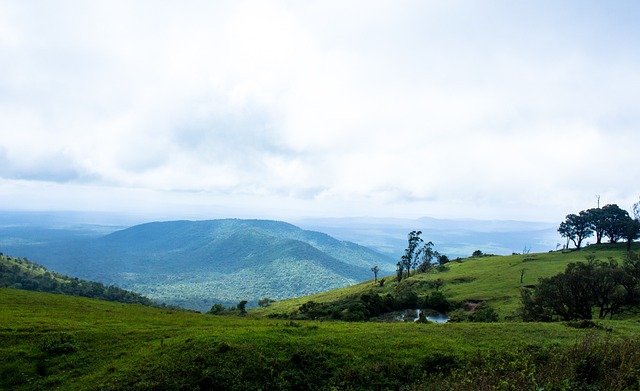 分和胜率 分和胜率