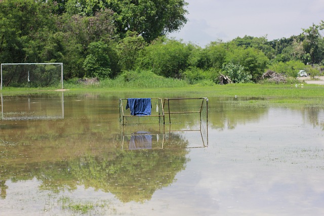 附加赛的命 附加赛的命