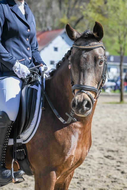 为年轻球员 为年轻球员