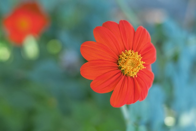 文化多样性 文化多样性